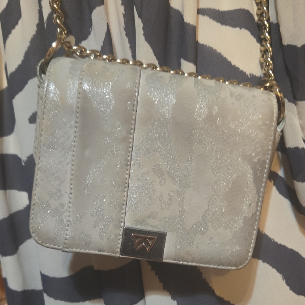 Metallic Silver Chain Strap Crossbody Bag by Unknown Brand